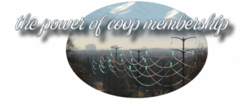 The power of coop membership - powerlines